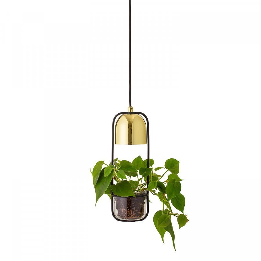 Bloomingville Pot Lamp Riippuvalaisin Kulta / Lasi