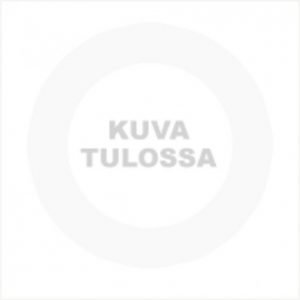 Eglo Pöytävalaisin Fabio Hopea