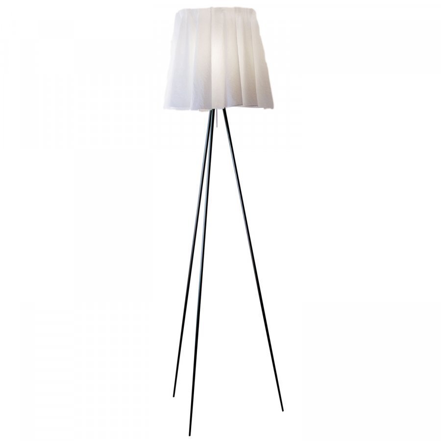 Flos Rosy Angelis Lattiavalaisin