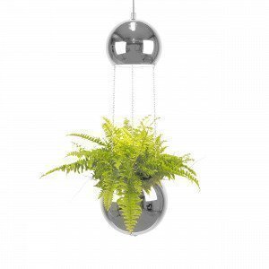 Globen Lighting Planter Kattovalaisin / Amppeli Kromi