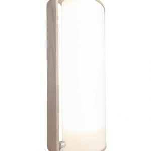 Innolux Tubo Saarni Kirkasvalolaite