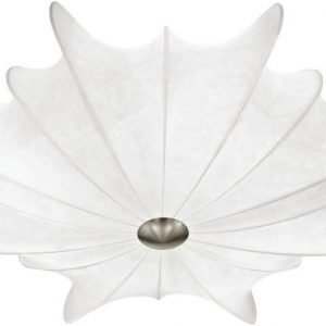 Kattovalaisin Calandra Ø 580x135 mm valkoinen/harjattu teräs