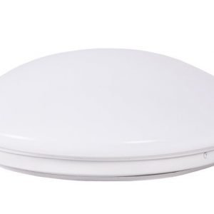 LED plafondi BASIC 15W IP20 1200lm lämmin valkoinen