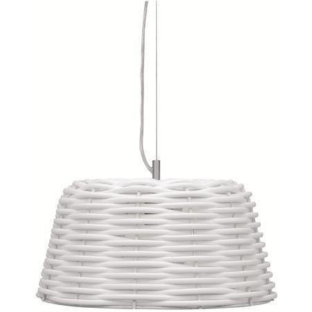 Malmbergs Riippuvalaisin Dino