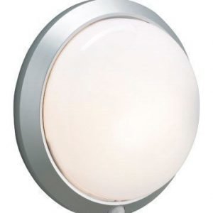 Markslöjd Celtic Plafondi Harmaa