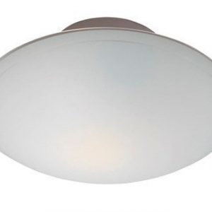 Markslöjd Donau Plafondi