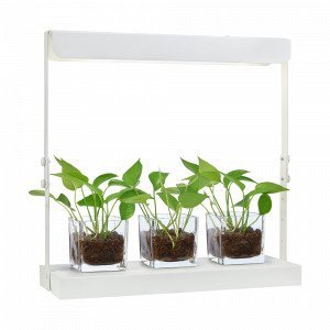 Markslöjd Harvest Led Pöytävalaisin Valkoinen