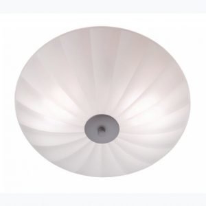 Markslöjd Kattovalaisin