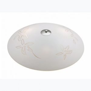 Markslöjd Kattovalaisin