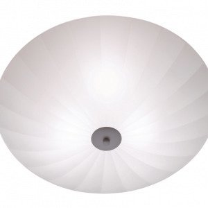 Markslöjd Kattovalaisin