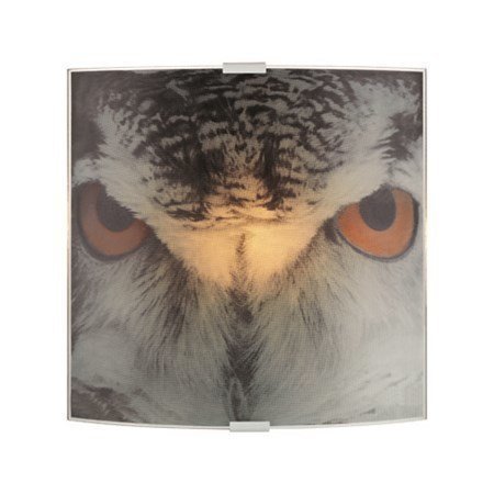 Markslöjd OWL Seinälamppu Harmaa