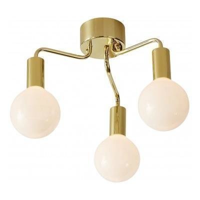 Markslöjd Plafondi History