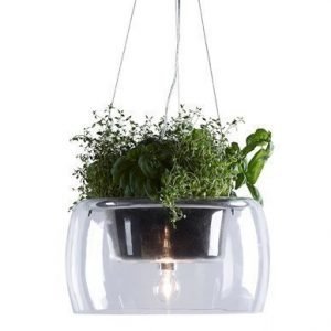 Markslöjd Plant Kattolamppu Kirkas