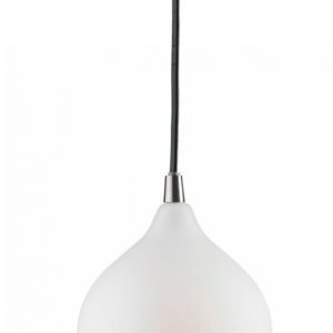 Markslöjd Vättern Kattovalaisin