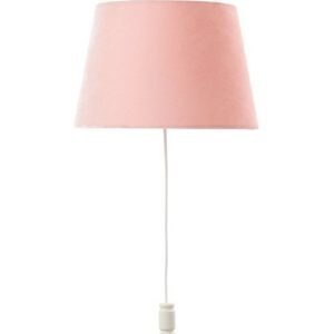 Nepal Kattovalaisin / Lattiavalaisin Roosa