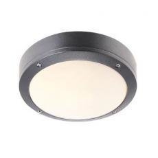 Nordlux Desi 22 Kattovalaisin Harmaa 12W E27 IP44