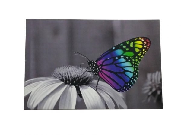 Nordlux Led Canvastaulu Butterfly