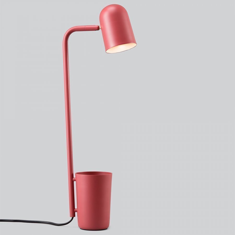 Northern Buddy Pöytävalaisin Marsala