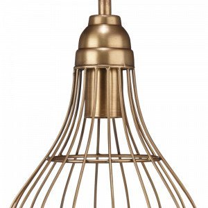 Pr Home Munarola Kattovalaisin