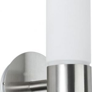 Seinävalaisin Elon 200x100x135 mm harjattu teräs IP44 himmennettävä