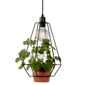 Sevilla Kattovalaisin Jossa Ruukku Musta