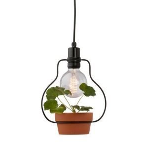 Sevilla Kattovalaisin Jossa Ruukku Musta