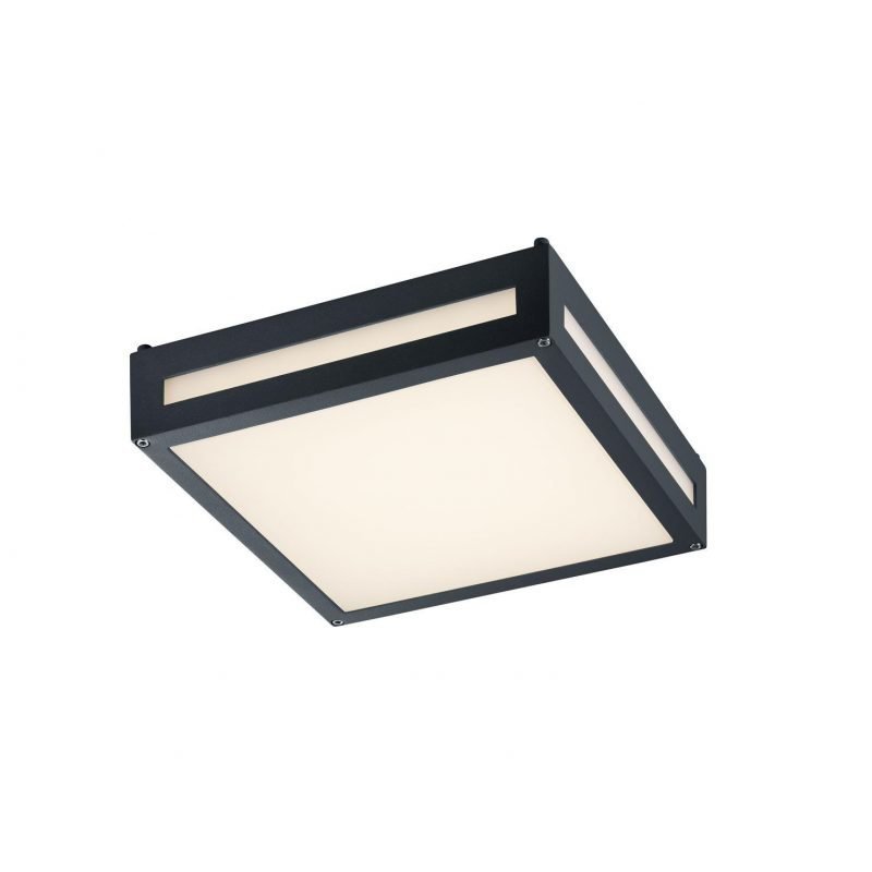 Trio Newa LED seinä/kattovalaisin (musta)