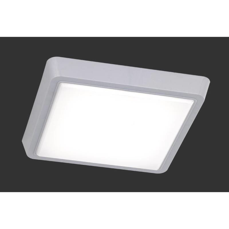 Trio Plafondi Plano SMD-LED 10 W neliö