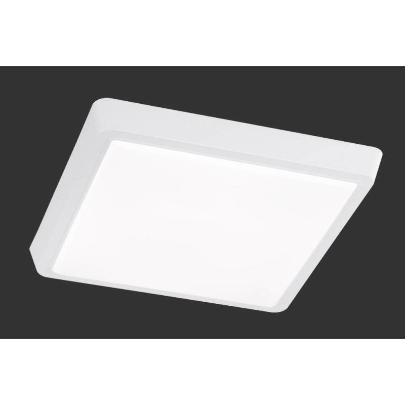 Trio Plafondi Plano SMD-LED 15 W neliö