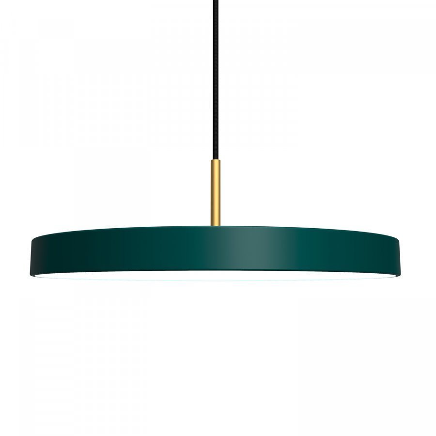 Vita Asteria Riippuvalaisin Forest