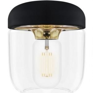 Vita Valaisin Acorn Messinki